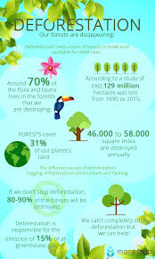 Take Care Of The Environment What Is Deforestation Deforestation Take Care