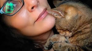 Fundraiser by Zoe MacGechan : Matilda