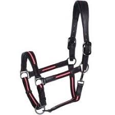 Licols Ou Longes Cheval Decathlon Equipement Equitation Equitation Cheval Equipement Equitation