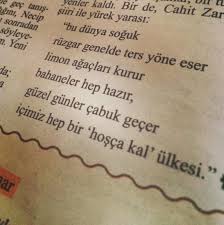 Bu Dunya Soguk Ruzgar Genelde Ters Yone Eser Limon Agaclari Kurur Bahaneler Hep Hazir Guzel Gunler Cabuk Gecer Alintilar Ilham Verici Sozler Kitap Sayfalari