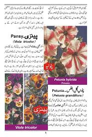 Categories शकष tags 40 flowers name all flowers name different types of flowers with names flower names in hindi and english flowers. Noons Info How To Grow Outdoor Indoor Plants Flowers Urdu Guide