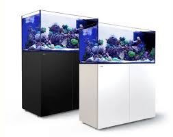Learn more about tankmaker or tankmaker.com. The 8 Places To Shop For The Best Fish Tanks In Singapore 2021