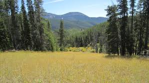 Modular Homes & PreFab Homes In Kevin, Montana