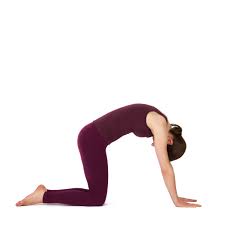 Balancing poses in yoga positively impact both our physical and mental health. Katze Majariasana Wirkung Videos Und Anleitung Zu Yoga Asanas