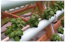 We did not find results for: Membuat Rak Hidroponik Sendiri Di Rumah Hidroponik Store