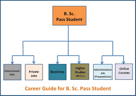 Career Guide Bsc Pass Student Flow Chart Business Administration Jobs Career Career Path