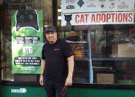 For The Love Of Cats Nyc Pet Employee Trail Blazes Cat Adoption Program Bklyner
