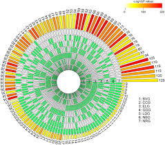 Check spelling or type a new query. Efficient Test And Visualization Of Multi Set Intersections Scientific Reports