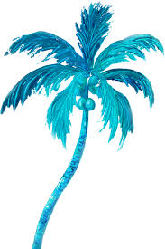 Coconut tree in cape coral. Coconut Palm Tree Greeting Card For Sale By Jan Matson