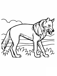 1500x1232 coyote animal coloring pages coyote animal. Printable Coyote Coloring Pages Coloringme Com