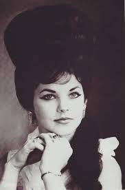 Leila Hebert's Instagram, Twitter & Facebook