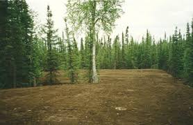 You can see how to get to peninsula septic design on our website. Specialty Excavating On Alaska S Kenai Peninsula