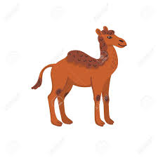 New american standard bible and again i say to you, it is easier for a camel to go through the eye of a needle, than for a rich person to enter the kingdom of god. Extinct Animals Camelops Western Camel Prehistoric Extinct Royalty Free Cliparts Vectors And Stock Illustration Image 140104889