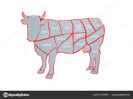 Cow Cut Beef Beef Chart Diagram Different Parts Cow Showing
