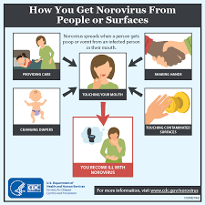 Norovirus, sometimes referred to as the winter vomiting bug, is the most common cause of gastroenteritis. Norovirus Arkansas Department Of Health