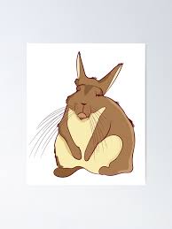 Image result for viscacha