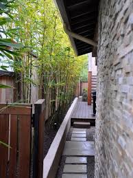 Bamboo gardening involves a little bit of care in the beginning, but the rewards are definitely worth it. Garden Design Bamboo Blog Pendidikan