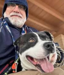 Adopting a Rottweiler Dog in New York