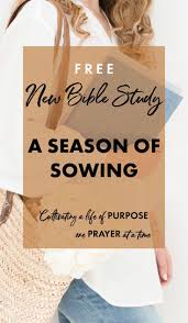 Any author jim baird dudley chancey john harrison curt niccum stafford north glen pemberton harold shank any age group adults teens any bible area old testament new testament Pin On Christian Devotionals