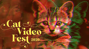 Consulta 229 opiniones, artículos, y 10 fotos de alamo drafthouse cinemas, clasificada en tripadvisor en ese momento, el teatro es un lugar para varias de las proyecciones y paneles que presenta atx tv fest y el personal y los voluntarios del festival. Humane Society Of Loudoun County Cat Video Fest 2020 Alamo Drafthouse Ashburn Humane Society Of Loudoun County