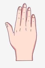 Langkah manakah kurang berkesan masih. Right Hand Back Gesture Illustration Hand Back Facing Right Hand Hand Back Png Transparent Clipart Image And Psd File For Free Download Illustration Clip Art Psd