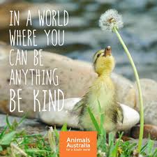 All kinds of animals (a beka book reading program) Facebook