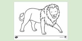 England wears the three lions because it's the logo of the fa but the story of the crest goes back to the 1100s (which we'll discuss soon). 10 000 Top Lion Colouring Teaching Resources