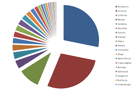 Image result for Sopubia conferta