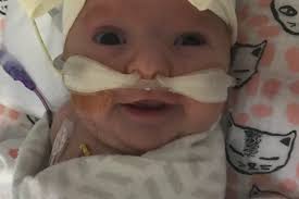 Fundraiser by Haley Sanders : Rowan Sanders