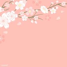 Download Free Vector Of Pink Cherry Blossom Blank Background Vectot By Manotang About Sakur Cherry Blossom Background Blank Background Cherry Blossom Wallpaper