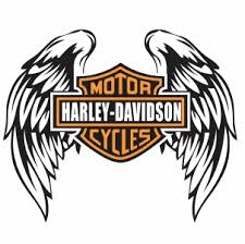 Image result for harley davidson wing