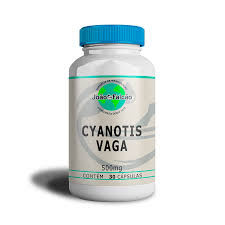 Image result for Cyanotis vaga