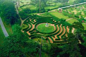 Somerleyton Maze Most Beautiful Gardens Seaside Garden Maze