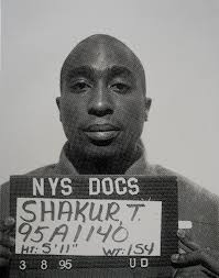 Image result for 2pac