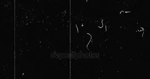 Black Vhs Glitch Background Realistic Flickering Analog Vintage Tv Signal With Bad Interference Static Noise Background Ov Di 2020 Glitch Latar Belakang Gaya Poster