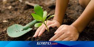 Simak Cara Memulai Bisnis Di Sektor Pertanian Halaman All Kompas Com