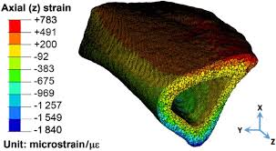 Please note that the 3d model database is only a search engine. A Multiscale 3d Finite Element Analysis Of Fluid Solute Transport In Mechanically Loaded Bone Bone Research