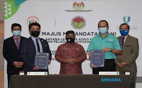 Beli baju koko online berkualitas dengan harga murah terbaru 2021 di tokopedia! Bernama Kppk Hasrat Jadikan Malaysia Raja Coklat Asia Mohd Khairuddin