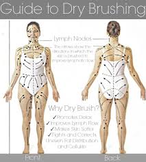 Body Chart For Dry Skin Brushing Body Brushing Dry