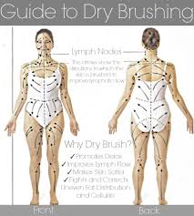 body chart for dry skin brushing body brushing dry