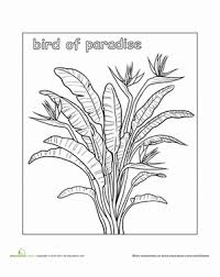 Each mandala in this collection is unique and can provide hours of relaxation for you. Pin On Design