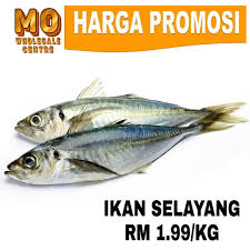 Ikan selayang merupakan antara jenis ikan yang cukup popular dan sering menjadi rebutan. Promosi Hebat Ikan Selayang Rm1 Mo Wholesale Centre Facebook