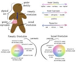 the genderbread person on the use of infographics to