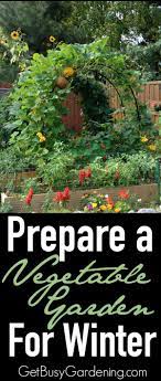 How To Prepare Your Vegetable Garden For Winter Winter Vegetables Gardening Fall Garden Vegetables Organic Vegetable Garden