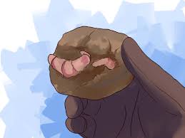 We did not find results for: How To Grow Begonias 13 Steps With Pictures Wikihow