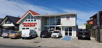 Clínica Veterinaria Puerto Montt