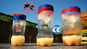 Comment Faire Un Piege A Moustiques Super Efficace En 6 Etapes Piege A Moustiques Moustique Comment Faire