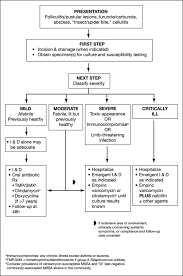 Staphylococcal Infections In The Era Of Mrsa American Academy Of Pediatrics