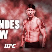 Ignacio la jaula bahamondes is a chilean professional mixed martial artist in the ufc lightweight division. Vfs Academy Interview With Contender Series Week 8 Ufc Welterweight Ignacio Bahamondes W Fightlete