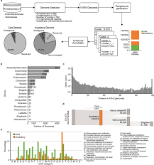 Image result for Enterobacteriaceae